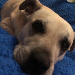 Meet your Posher, Tarja